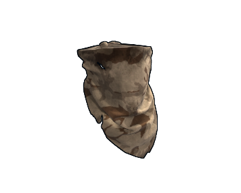 Desert Camo Bandana